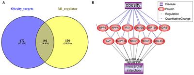 Explore the Protective Role of Obesity in the Progression of Myocardial Infarction